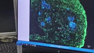 Researchers at King's College London have successfully grown a tooth in a laboratory setting