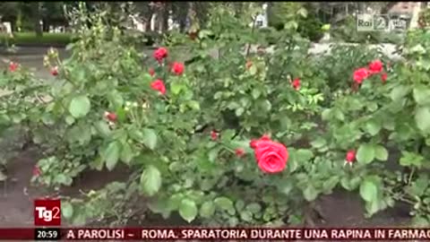 Donbas 2014 dalle olimpiadi a dopo