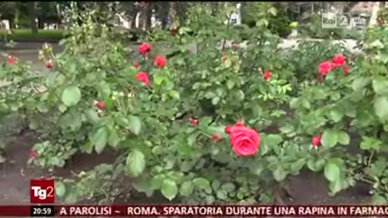 Donbas 2014 dalle olimpiadi a dopo