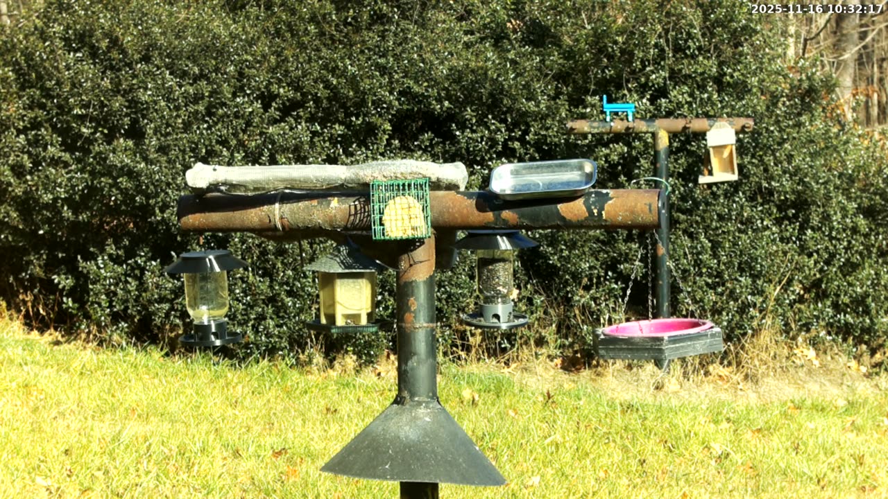 Bird Feeder in Western Maryland USA