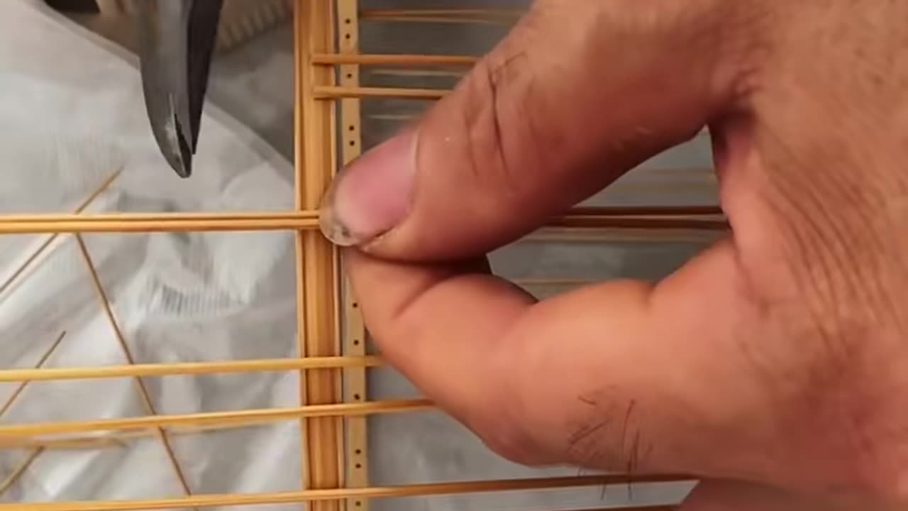 🤯🔧 Watch These Amazing Tools in Action! | FeedMyCuriosity