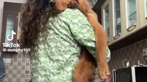 🥰🐶 May This Puppy Love Find Me! | FunFM