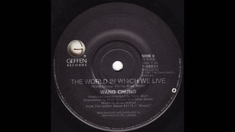 The World In Which WE LIVE - Wang Chung 1987 from vinyl LP