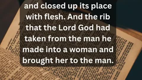 Journey of faith and spiritual growth Genesis 2:21 Daily Bible Verse