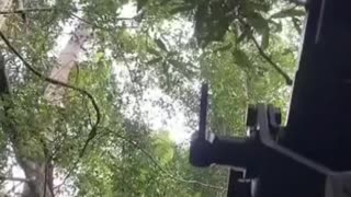 🔥🪖 Cambodia Thailand War | Thai Soldier Struggles with STK 40 AGL in Border Skirmish | RCF