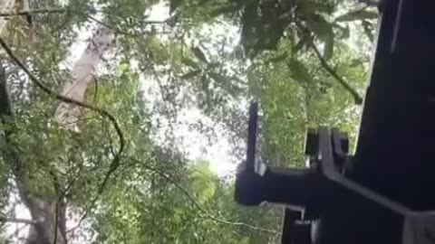 🔥🪖 Cambodia Thailand War | Thai Soldier Struggles with STK 40 AGL in Border Skirmish | RCF