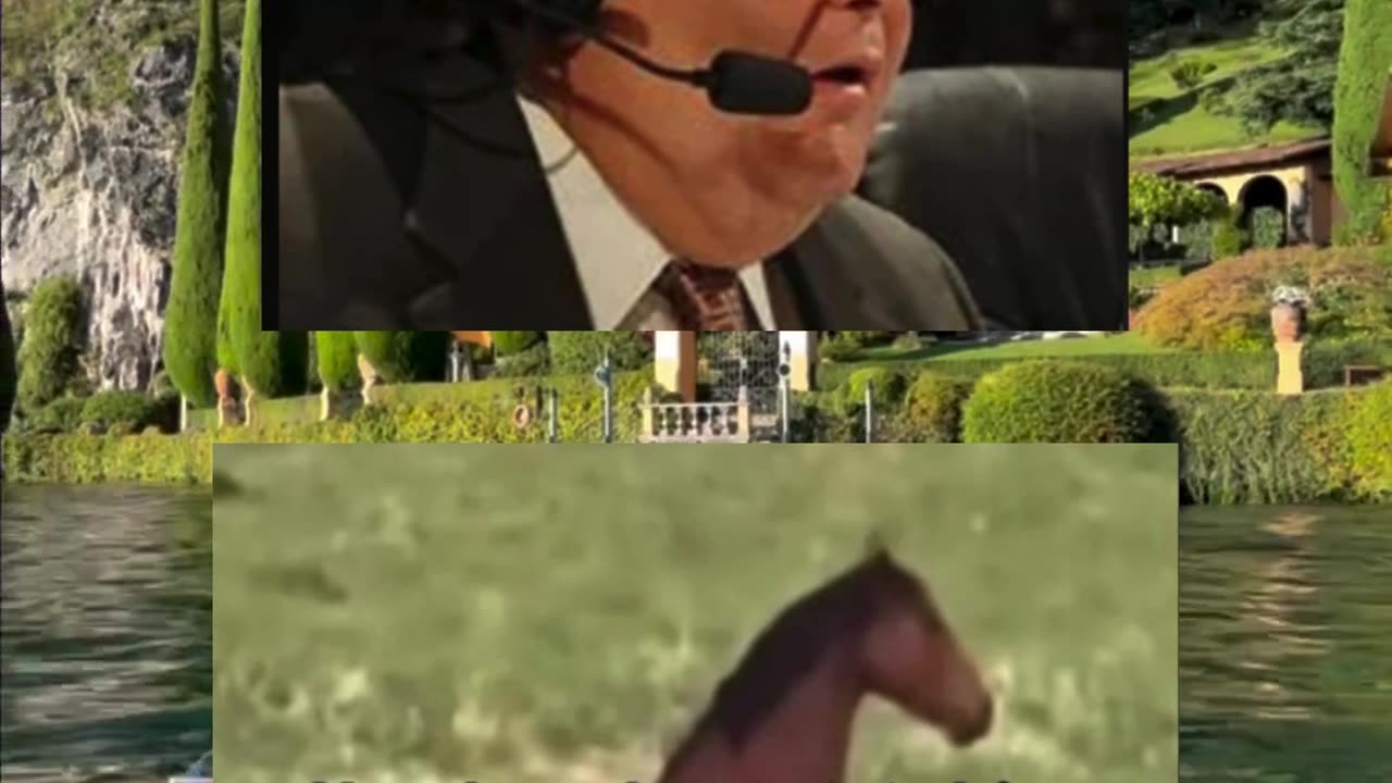 meme of the day #funny #memes #fyp