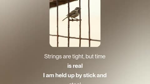 Held Up by Stick and Steel