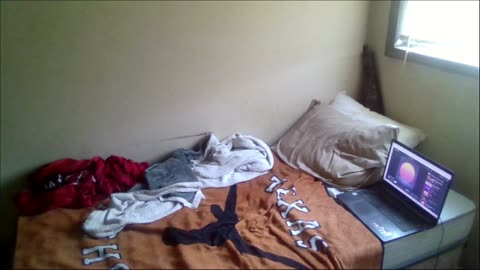 Smokeys Room