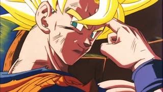 DBZ - Hero Skillet