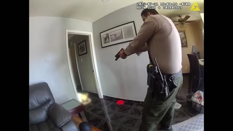 Industry Station Fatal Police Shooting of Man With Knives