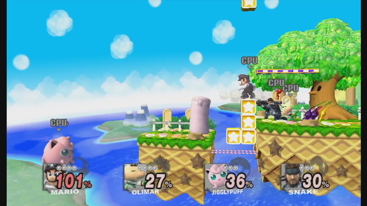 Super Smash Bros Brawl Battle315