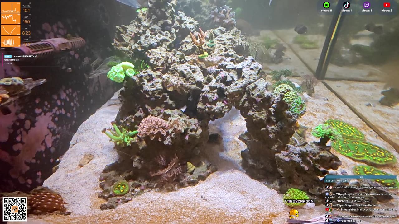 24/7 Real Live Reef Stream