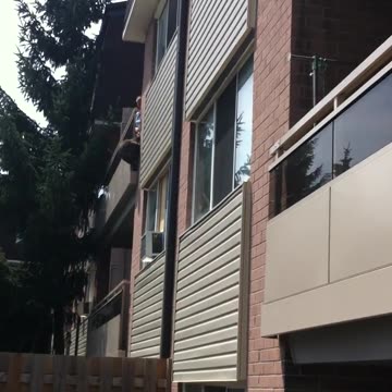 Raccoon B.N.E turned Animal Abuse.