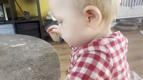 Baby Kayla “Helping” Clean the Table | Tiny Helper Fun