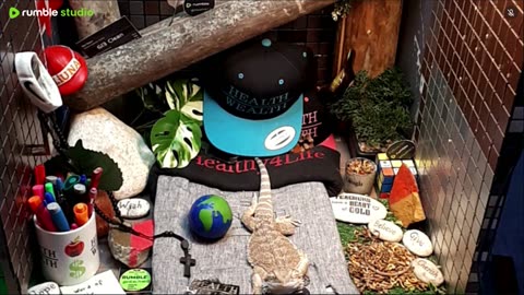 🔴 2025🔴03-21🍁 Live Stream Day 19🔴 🍏Healthy4Life🐉 Mascots 🍎🐲 Meet Kobe & Health🐉 Day In The Life Of Bearded Dragons🐲Day1🐉⭕Live🦎Streaming🔴