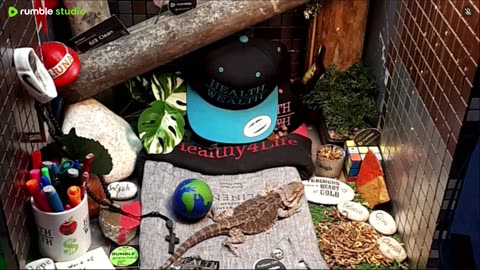 🔴 2025🔴03-21🍁 Live Stream Day 19🔴 🍏Healthy4Life🐉 Mascots 🍎🐲 Meet Kobe & Health🐉 Day In The Life Of Bearded Dragons🐲Day1🐉⭕Live🦎Streaming🔴