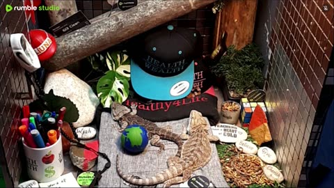 🔴 2025🔴03-21🍁 Live Stream Day 19🔴 🍏Healthy4Life🐉 Mascots 🍎🐲 Meet Kobe & Health🐉 Day In The Life Of Bearded Dragons🐲Day1🐉⭕Live🦎Streaming🔴