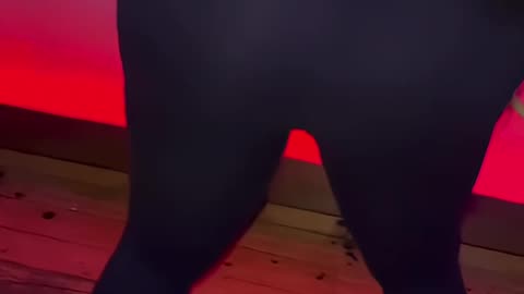 Zmeenaorr