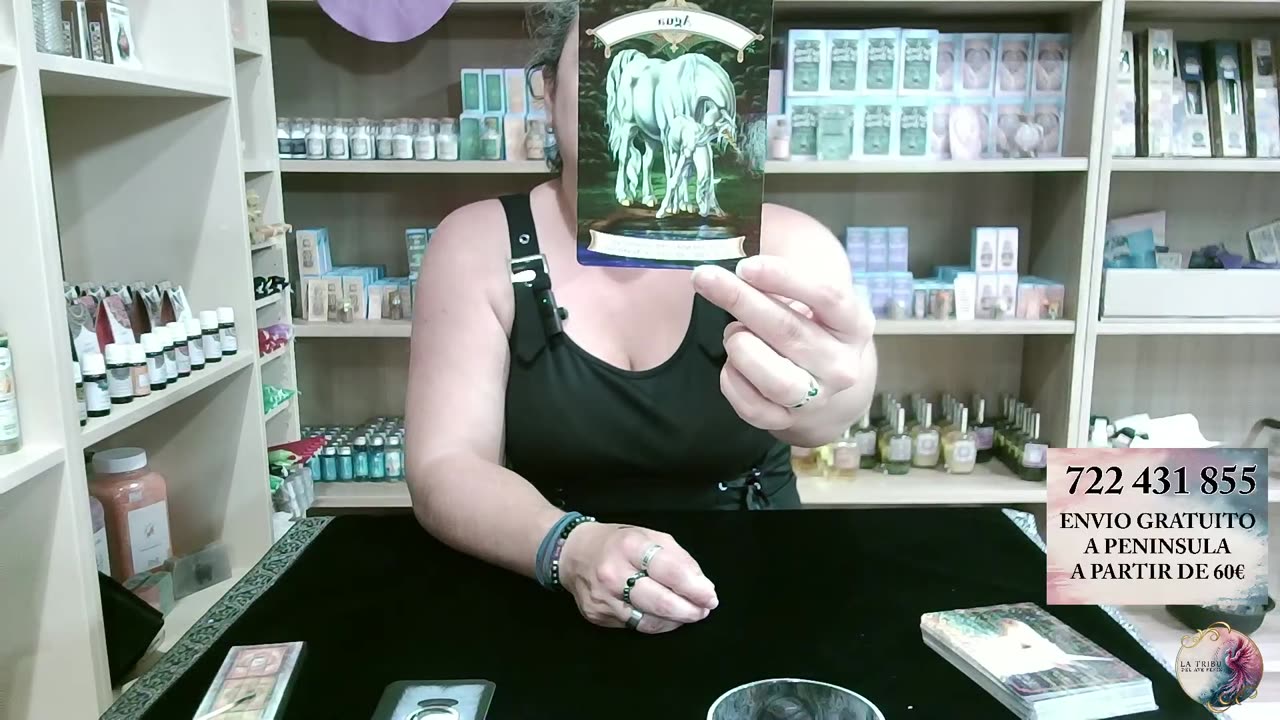 Directo: Mensajes de los Unicornios