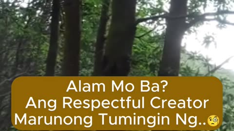 Respectful Creator