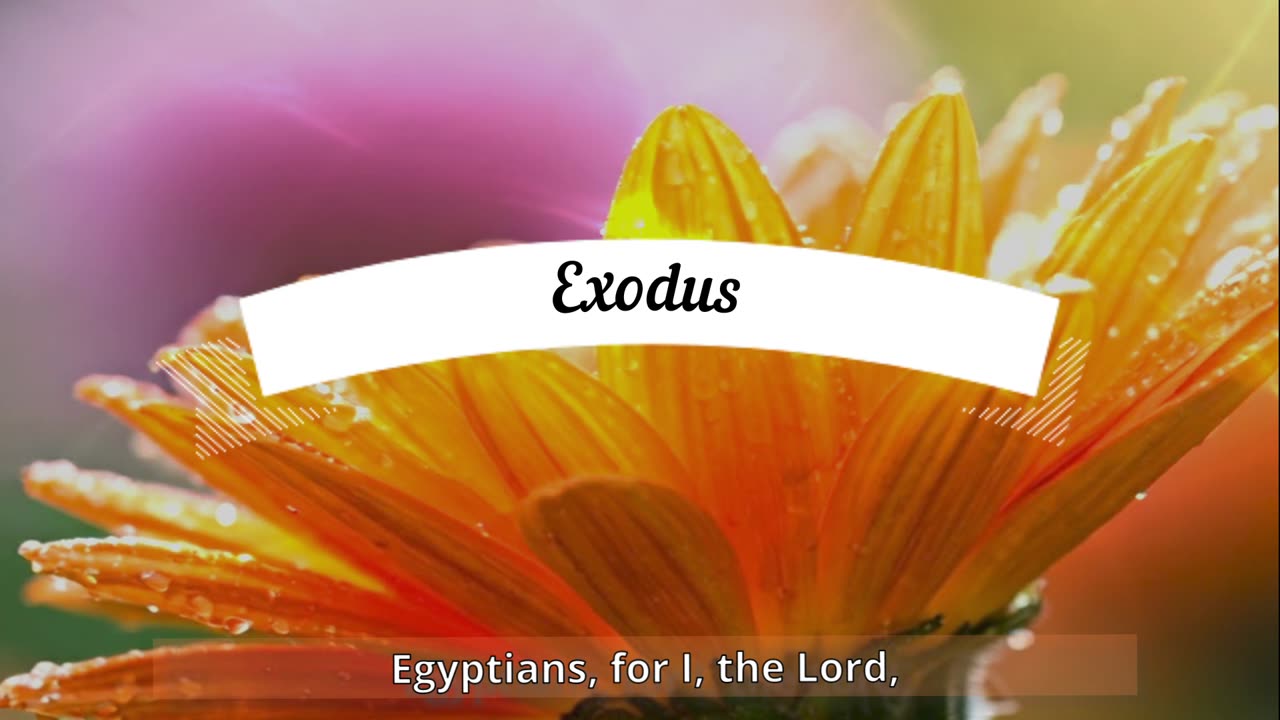 I am your Healer - Exodus
