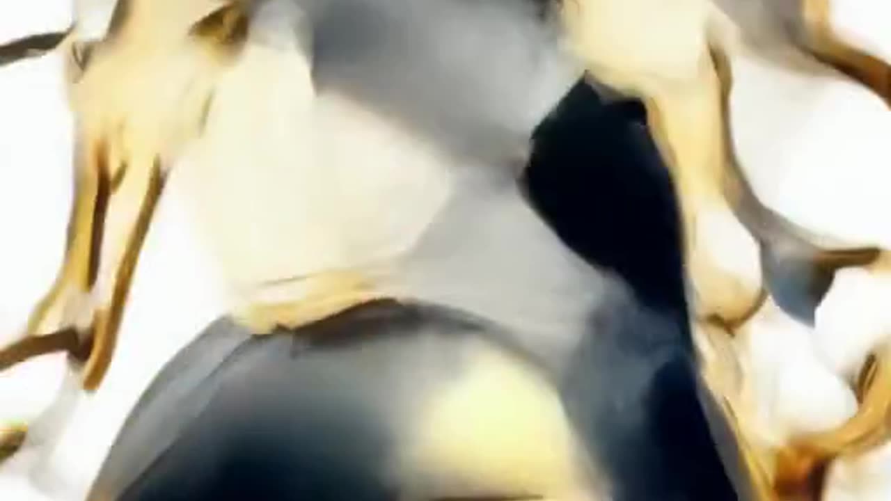 BOM DE BOLA
