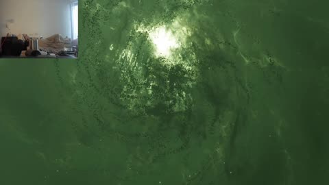 THE Final Funtasy VII Rebirf aka Niggers, Titties, and Karens (THE PC)