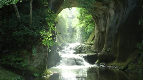 A Journey Out of Ignorance: Finding Light, Friendship, and the Courage to Change