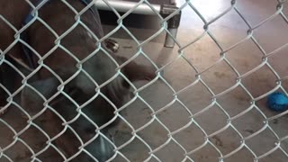VID_20250919_151013012