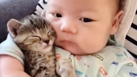 So cute, Tthe interaction between the kitten and baby