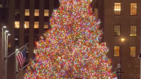 Man Dressed as a Christmas Tree Riding a Bike Through NYC