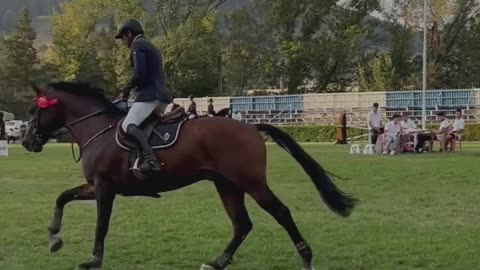 Unlocking Winning Strategies for Triple Crown Racing