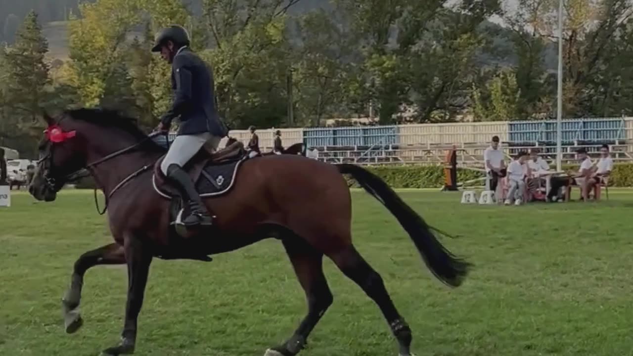 Unlocking Winning Strategies for Triple Crown Racing
