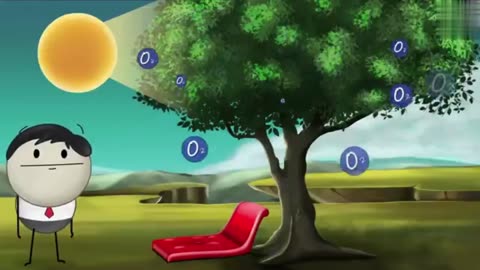 Respiration - Why is it not good to sleep under a tree at night?