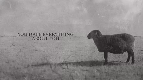 Ben Fuller - Black Sheep (Lyric Video)