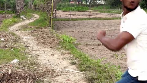 ये क्या हुआ🤣🤣#funny #comedy #short #shortfeed #realfoolsteam #surajrox #vikram #ajeet #dinesh