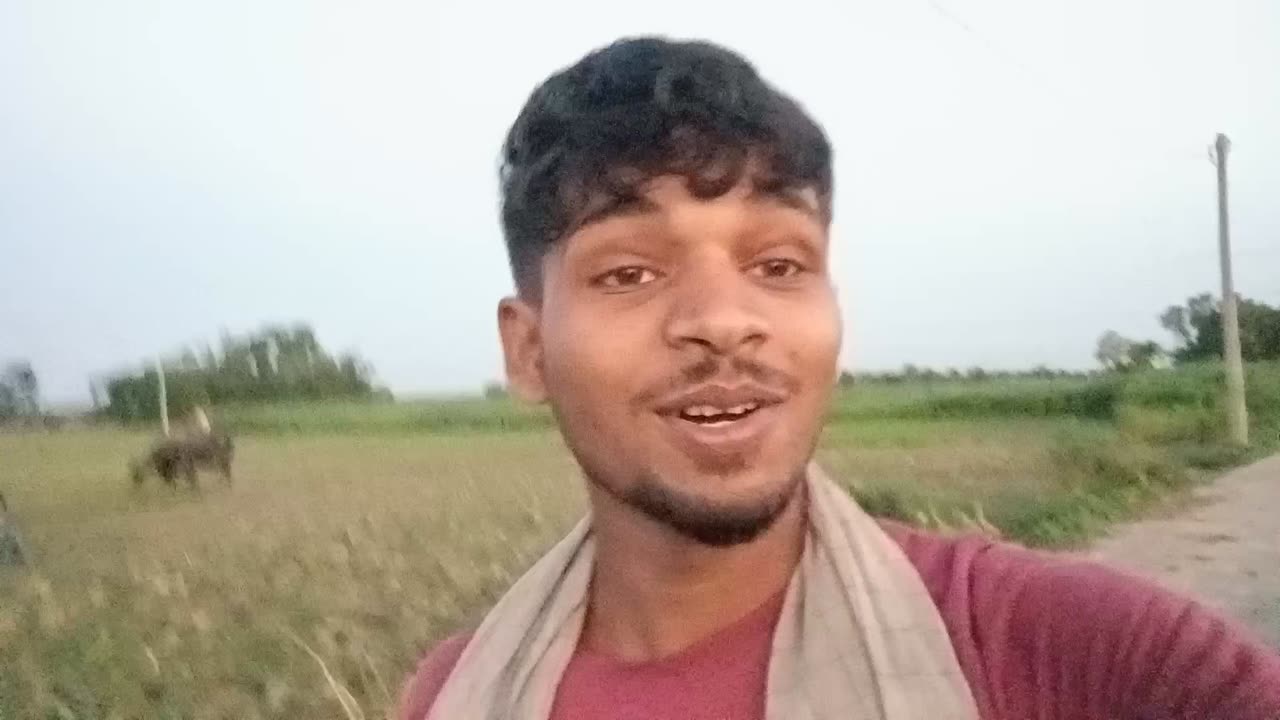Village vlogs video