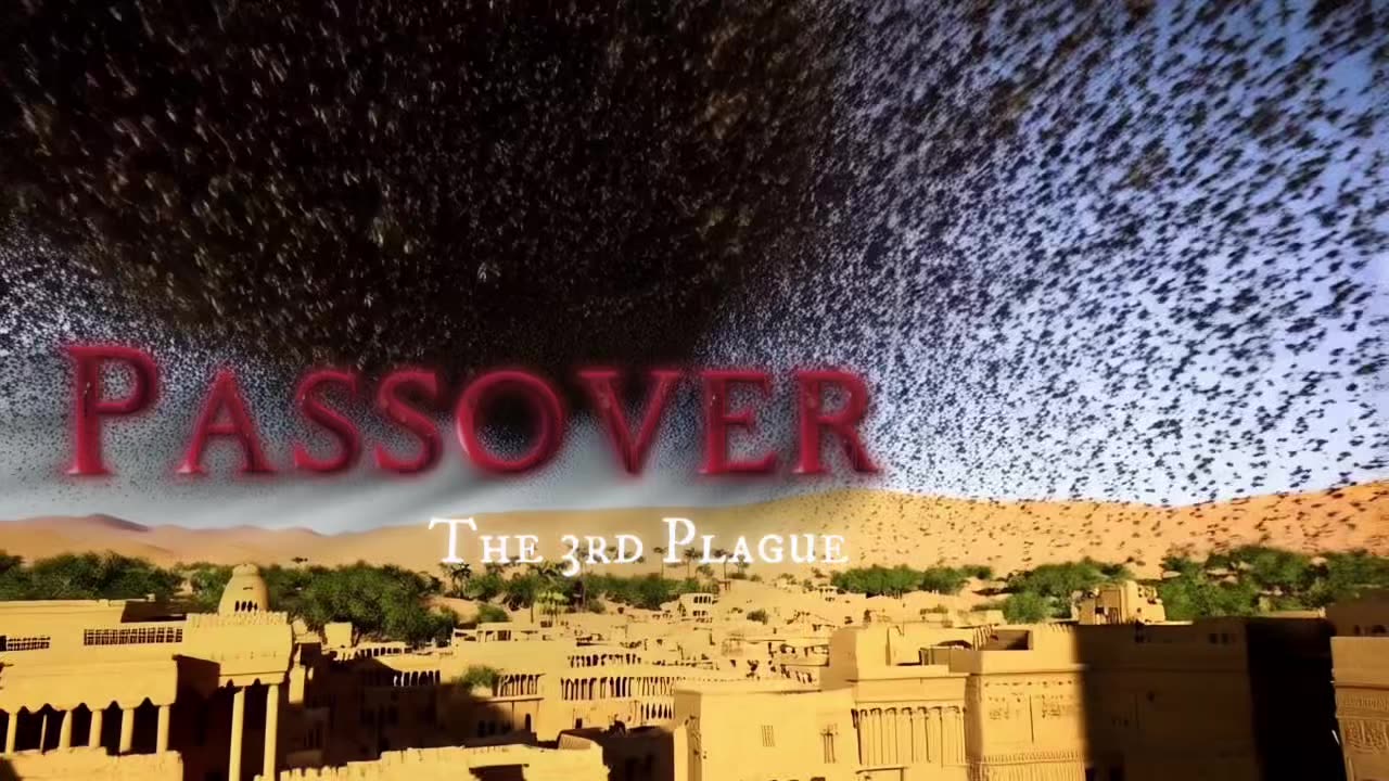 Do you know the history of the plagues God put on the Egyptians to save the Israelites?