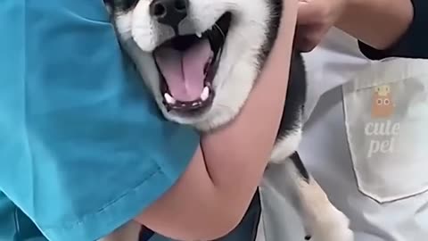 Funny 2
