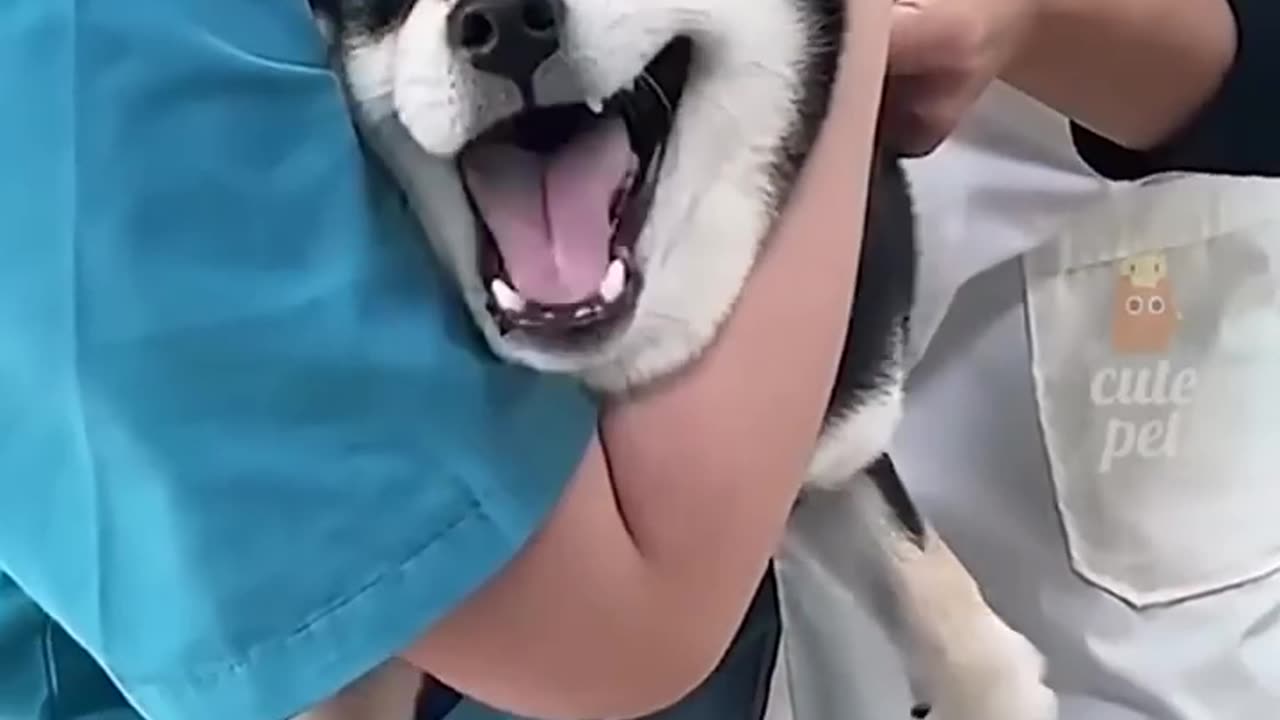 Funny 2