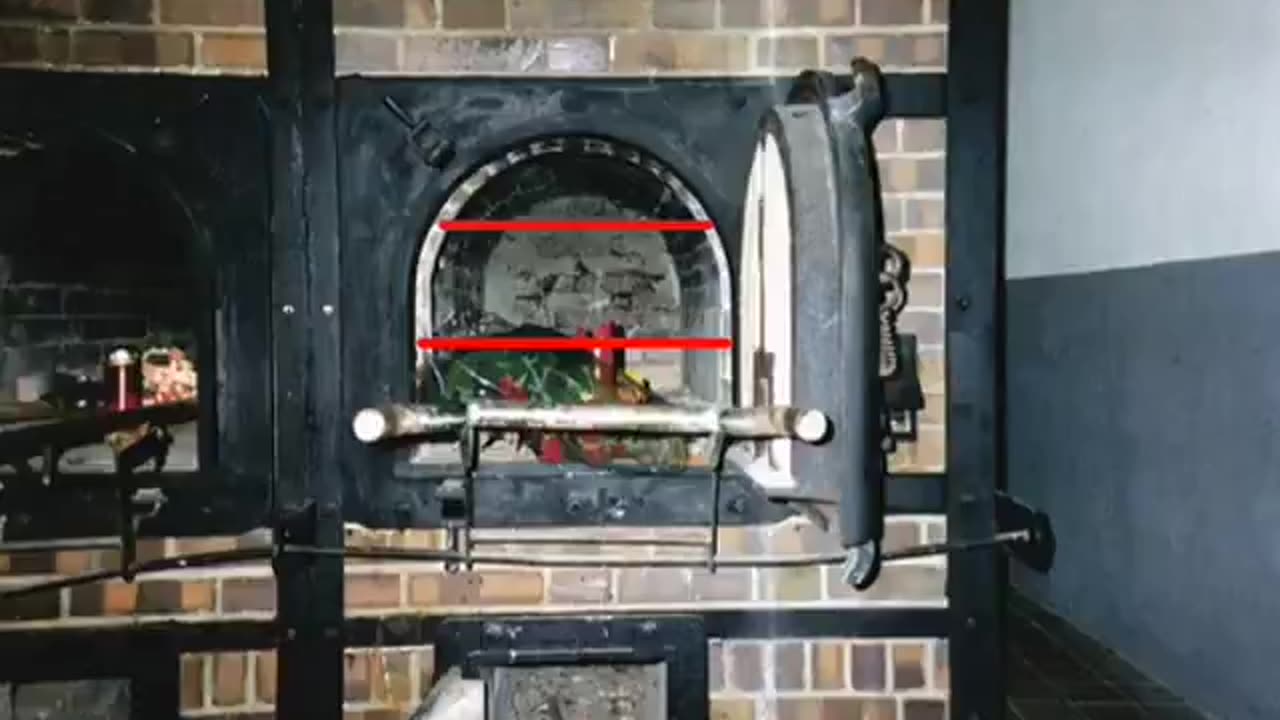 AUSCHWITZ - THE SURPRISING HIDDEN TRUTH (2012 documentary)