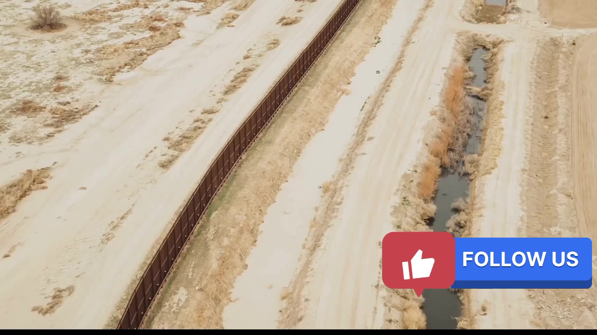 Elon Musk QUITS Politics! 🔥 What’s Next for the Billionaire in 2025?