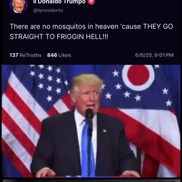 President Trump - Swatting Mosquitos