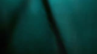 WAV - In Dim Lair