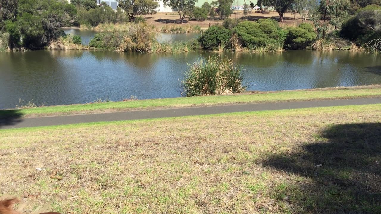 Lakeside 1 - Geelong Australia