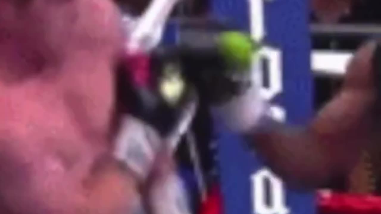 بلاك تاي سبورتس - بث مباشر مجاني، سكول ضد ألفاريز، فريق ريدديت للملاكمة