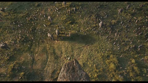 Opening Scene | Mufasa: The Lion King | 2024