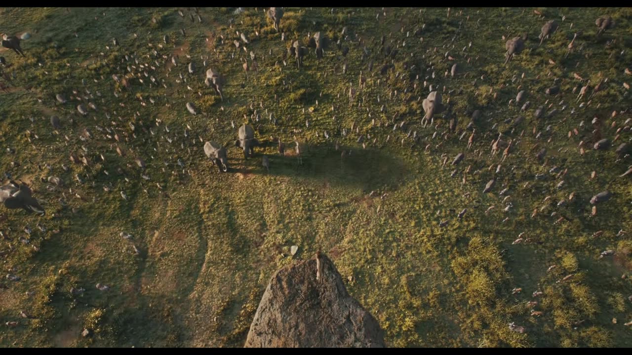 Opening Scene | Mufasa: The Lion King | 2024