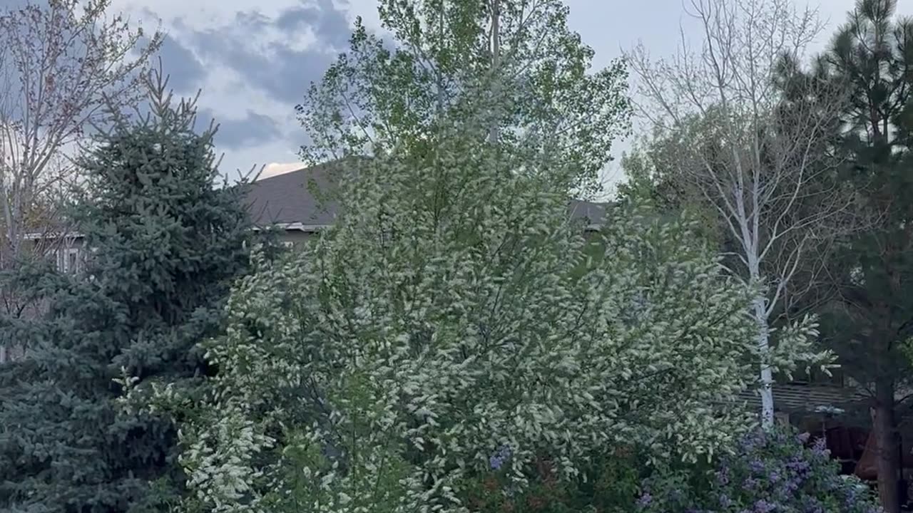 So windy outside